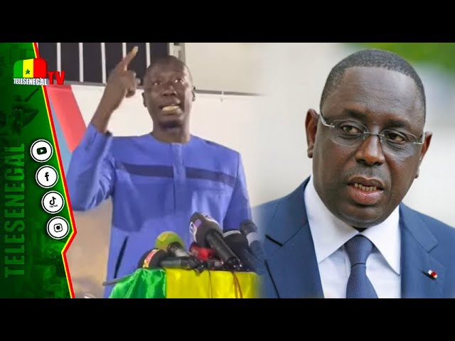 Les mots forts de Dame Mbodji qui vont écœurer Macky Sall et sa famille: "ay tapalé kate you me