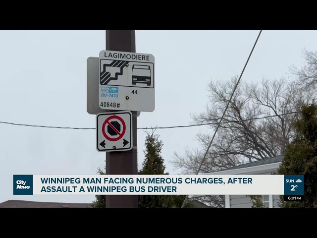 Winnipeg bus driver assaulted for refusing to deviate from route