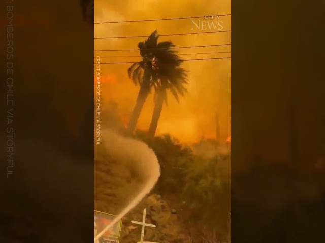 WATCH: Firefighters battle to contain forest fires across Chile #shorts