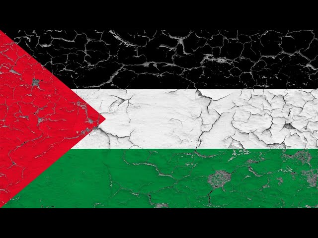 Palestine a ‘really totemic issue' for the left