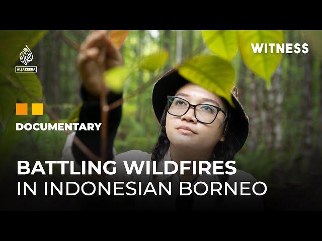 An Indigenous leader battles wildfires in Indonesian Borneo | Witness Documentary