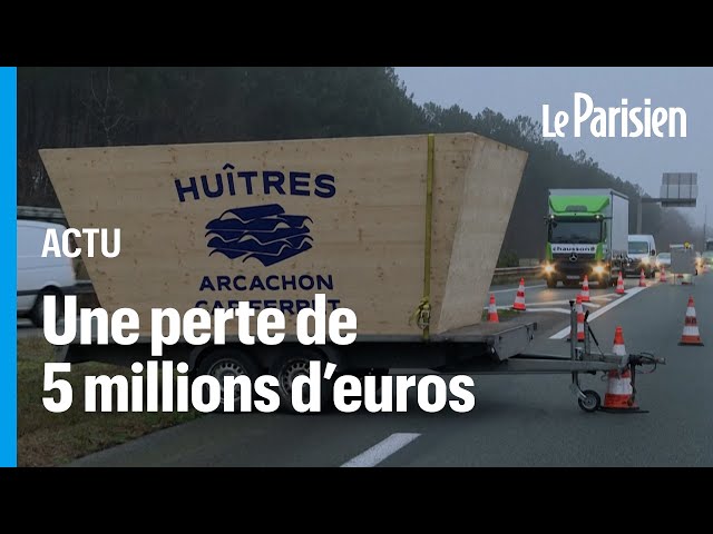 Huîtres contaminées : des ostréiculteurs d'Arcachon bloquent une autoroute pour réclamer de l&#