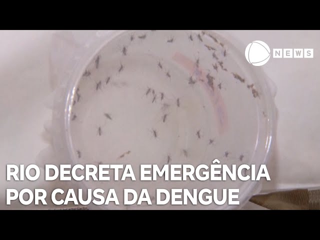 Rio de Janeiro decreta estado de emergência por epidemia de dengue