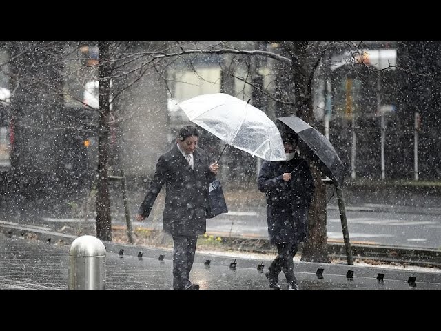 ⁣Viel Schnee in Japan - zahlreiche Flüge in Tokio fallen aus