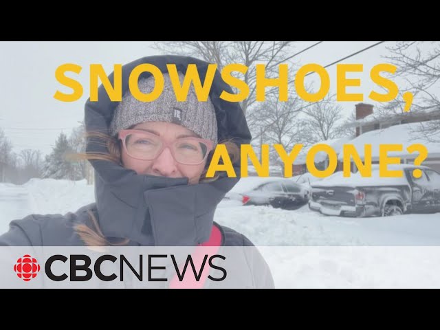 Snowshoes, anyone? Getting to work in snowbound P.E.I.