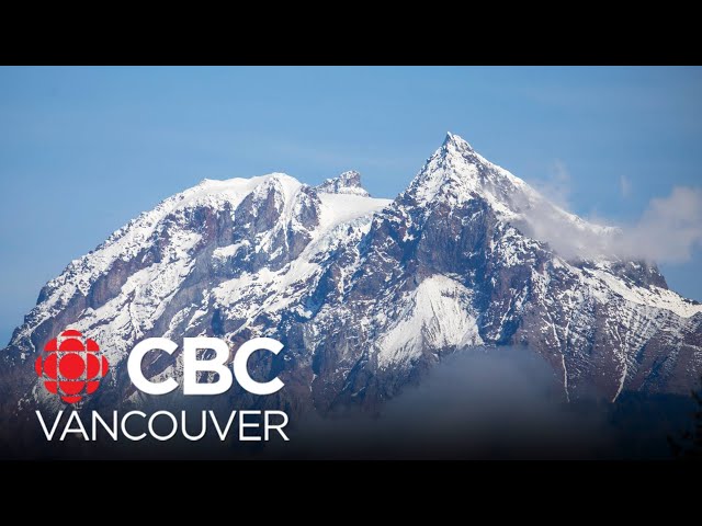 How is the B.C. heli-skiing industry regulated?