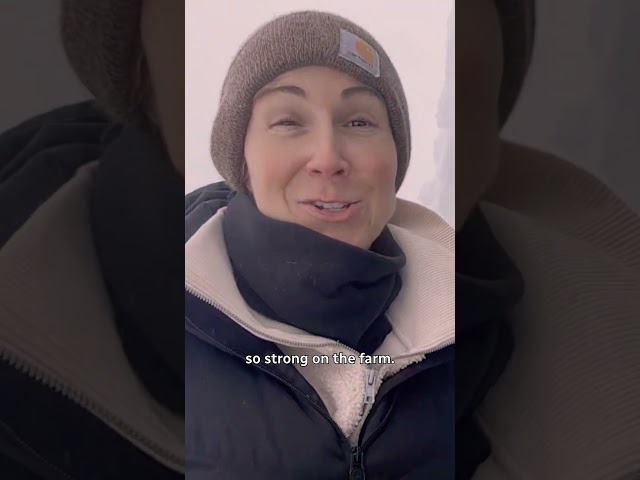 Couple spends 9 hours shovelling after Nova Scotia snowstorm