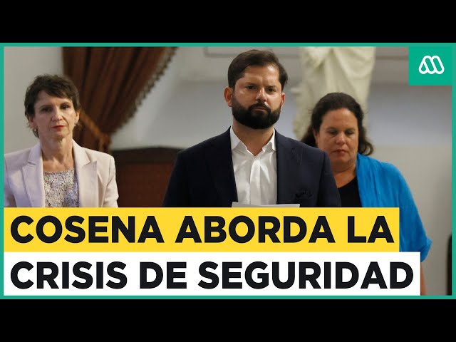 Cosena aborda crisis de seguridad: Gobierno quiere impulsar proyecto para combatir la delincuencia