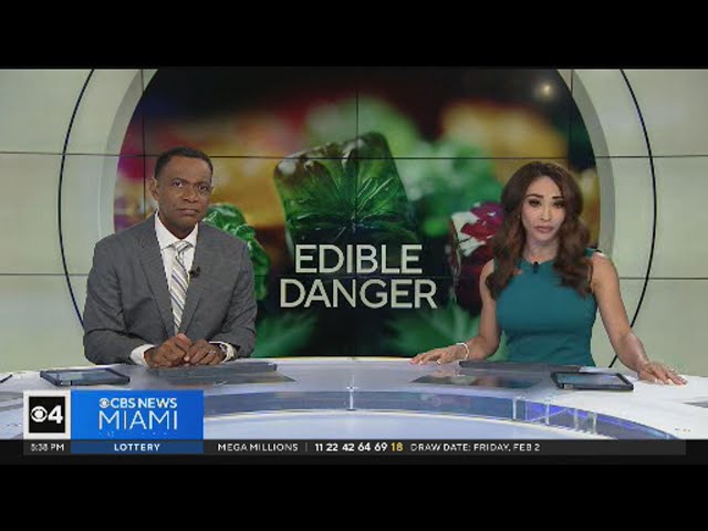 Edible Danger: What You Need To Know On Teens, Children, Overdosing on THC