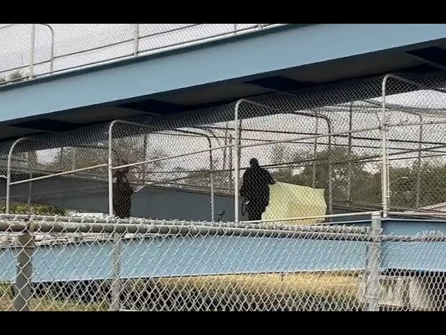 Hallan a hombre muerto en puente peatonal de Miami Gardens: tenía una herida de bala