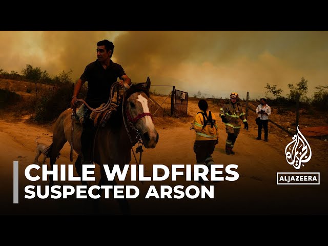 Chile wildfires: At least two people arrested for suspected arson