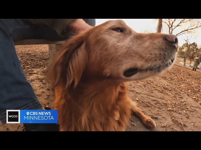 Pet owners on the defense after first deer tick found in metro