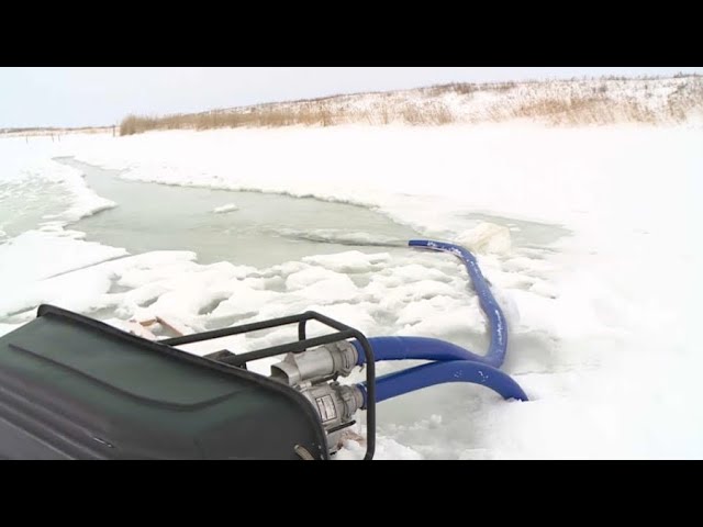 Как спасают мелкие водоёмы от замора рыбы