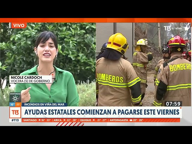 Incendios en Viña del Mar: Ayudas estatales comienzan a pagarse el viernes 9 de febrero