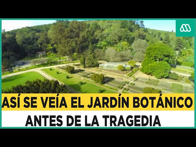 100 años historia convertidos en cenizas: Jardín Botánico fue calcinado por completo