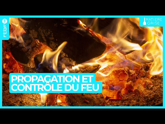 Le feu : comment se propage t-il et comment font les pompiers pour le contrôler ? - Matière Grise