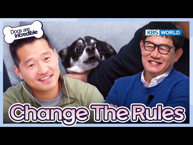 Change The Rules [Dogs are incredible : EP.205-2] | KBS WORLD TV 240206