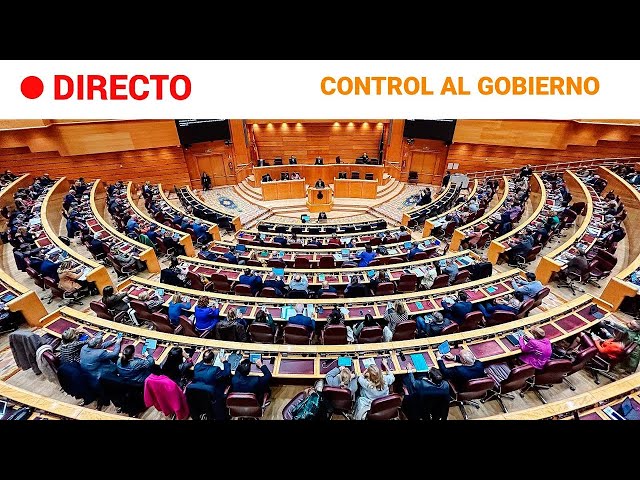 SENADO  EN DIRECTO: Sesión de CONTROL al GOBIERNO en la CÁMARA ALTA (06/02/24) | RTVE Noticias