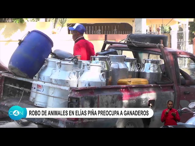 Robo de animales en Elías Piña preocupa a ganaderos