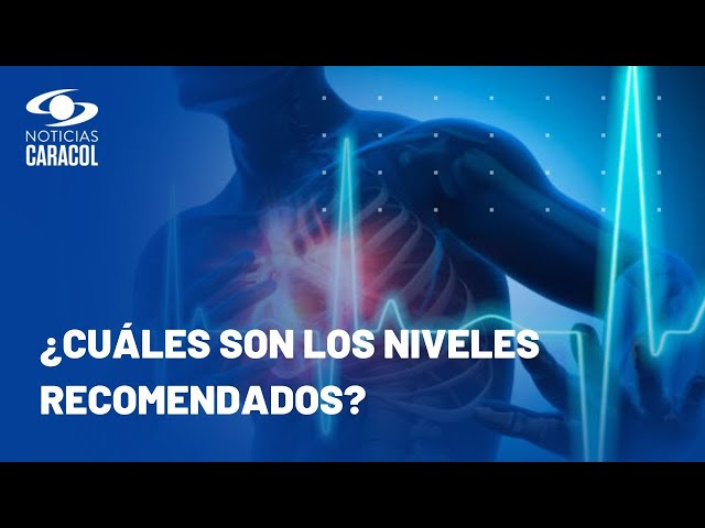 Cuidado con el colesterol malo: el enemigo silencioso que podría ocasionarle un infarto