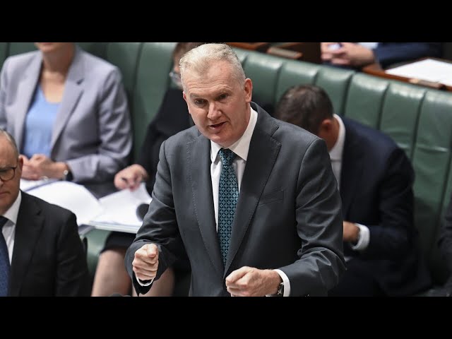 ‘Absolutely shocking for the economy’: Tony Burke’s IR changes ‘bad for workers’