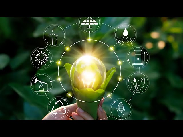 Evolving Energy - T&T Moves Towards A Sustainable Future