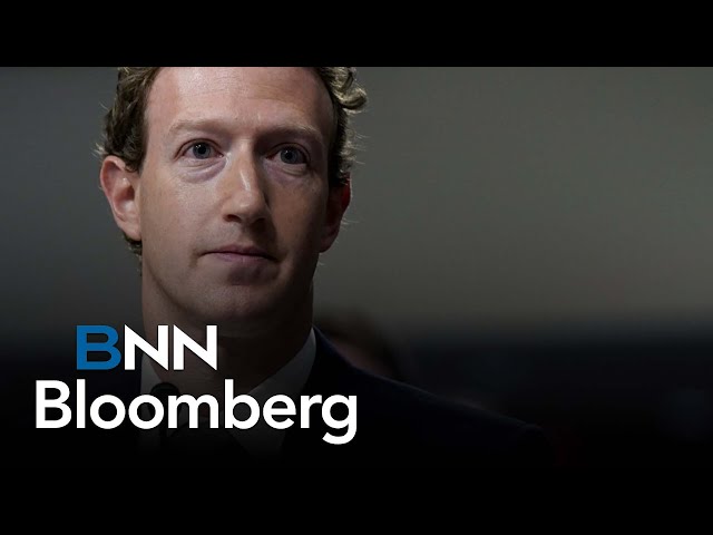 Adding to Meta on earnings, Zuckerberg maturing: portfolio manager