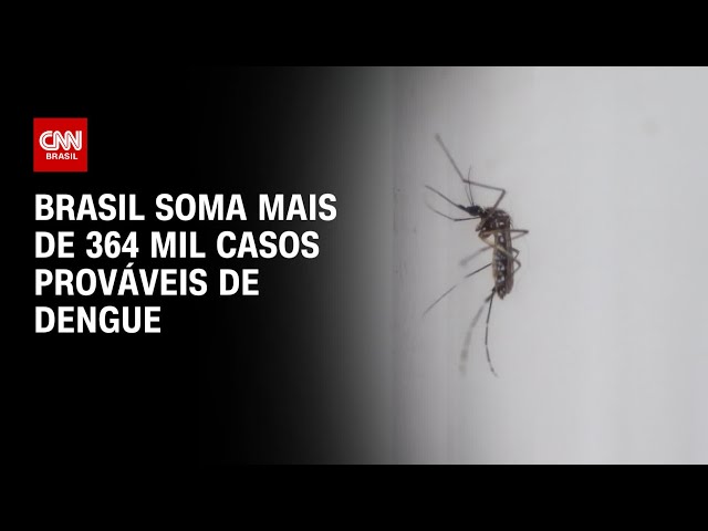 Brasil soma mais de 364 mil casos prováveis de dengue | CNN PRIME TIME