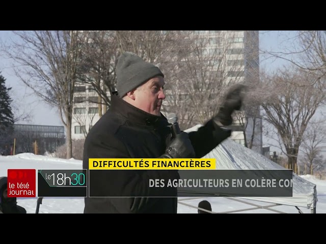 Difficultés financières : des agriculteurs en colère contre Québec