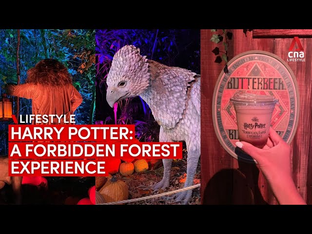 Harry Potter: A Forbidden Forest Experience adventure trail in Singapore