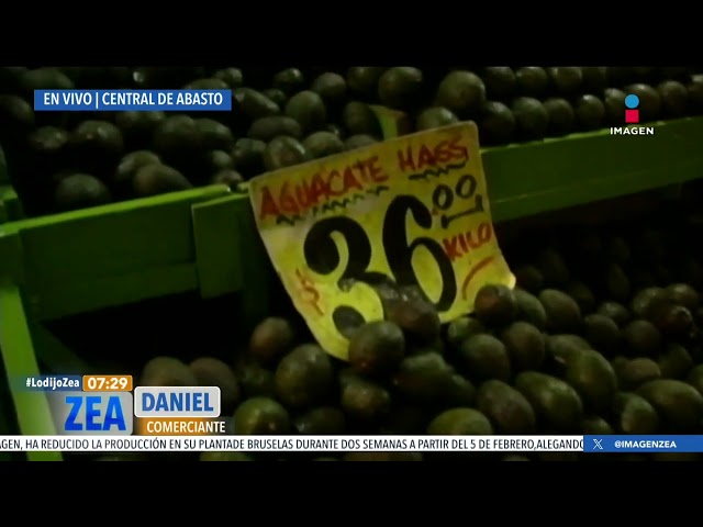 Así el precio del aguacate en la Central de Abasto de la CDMX