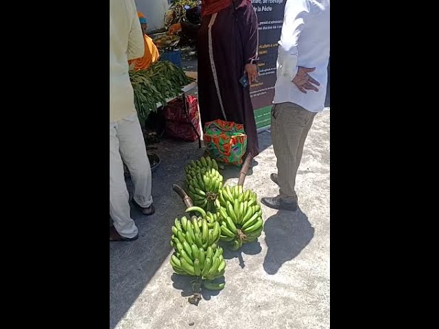 EN DIRECT : Foire spéciales Soihamwedja organisé par les CRDE aux marchés des agriculteurs