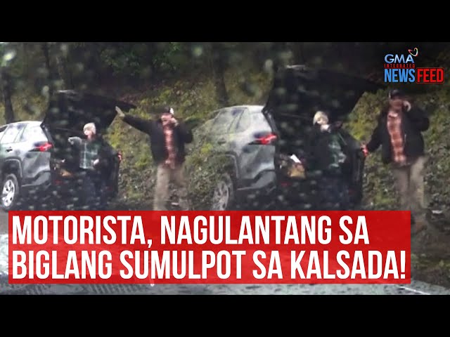 Motorista, nagulantang sa biglang sumulpot sa kalsada! | GMA Integrated Newsfeed