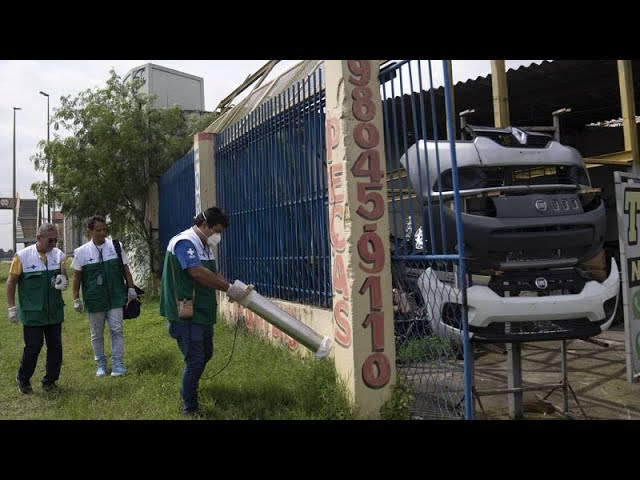 Alerta sanitaria por dengue en Río de Janeiro a las puertas del Carnaval