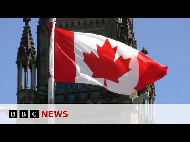 Canada sees drop in citizen applications from permanent residents | BBC News