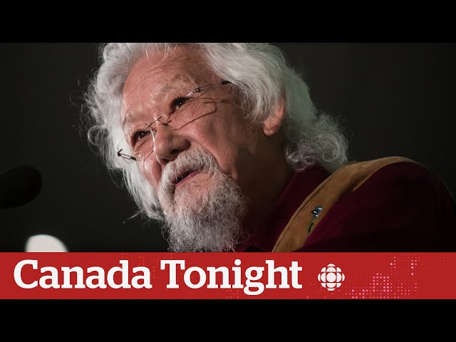 Politics is getting in the way of Canada achieving its climate goals, David Suzuki says | Spotlight