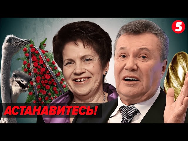 Де ти гроші береш? В ТУМБОЧЦІ! Факапи Януковича та мемна спадщина