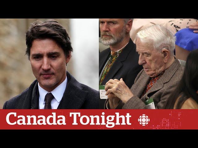 Liberal organizer dismayed over PMO inviting Nazi veteran to Zelenskyy rally | Canada Tonight