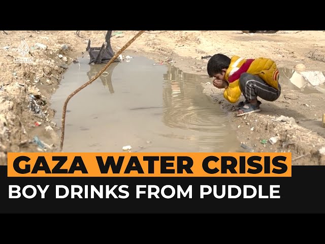 Palestinian boy drinks from puddle amid Gaza water crisis | Al Jazeera Newsfeed