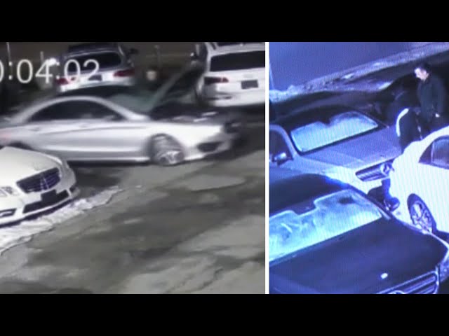 Fake buyer steals Mercedes from Quebec dealership with hood open