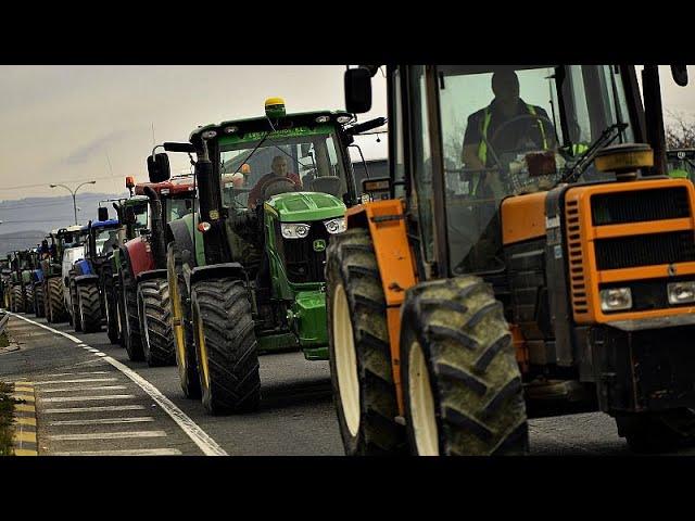 Bauernprotest in Straßburg: Forderungen nach Reform der EU-Landwirtschaftspolitik