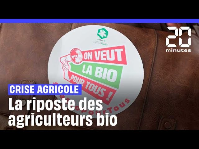 Crise agricole : La riposte des agriculteurs bio