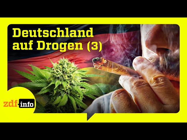 ⁣Provinz im Rausch: Cannabis-Hotspot an der deutschen Küste | Teil 3/3 | ZDFinfo Doku
