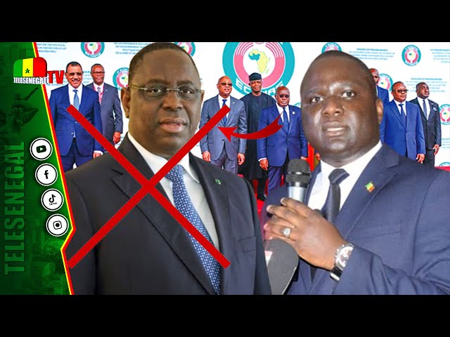 Déthie Fall "la CEDEAO et la communauté internationale ne doivent plus composer avec Macky Sall