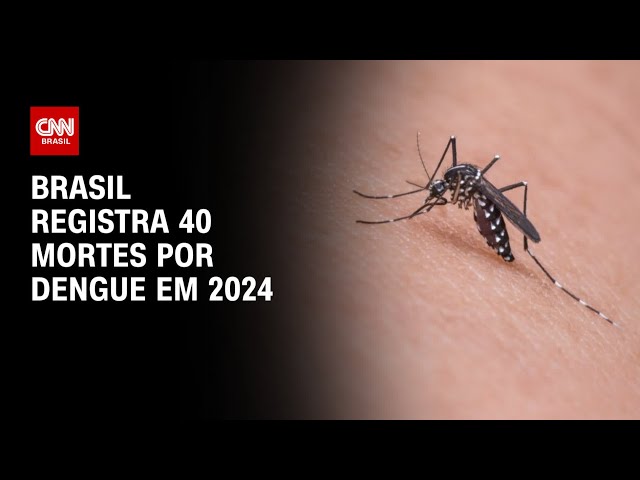 Brasil registra 40 mortes por dengue em 2024 | CNN PRIME TIME