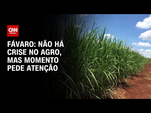 Fávaro: Não há crise no agro, mas momento pede atenção | CNN PRIME TIME