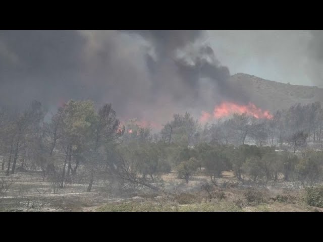 El termómetro asusta: la Tierra ha vivido el mes de enero más caluroso de la historia