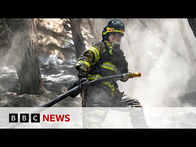 Climate change: World's first year-long breach of key 1.5C warming limit | BBC News