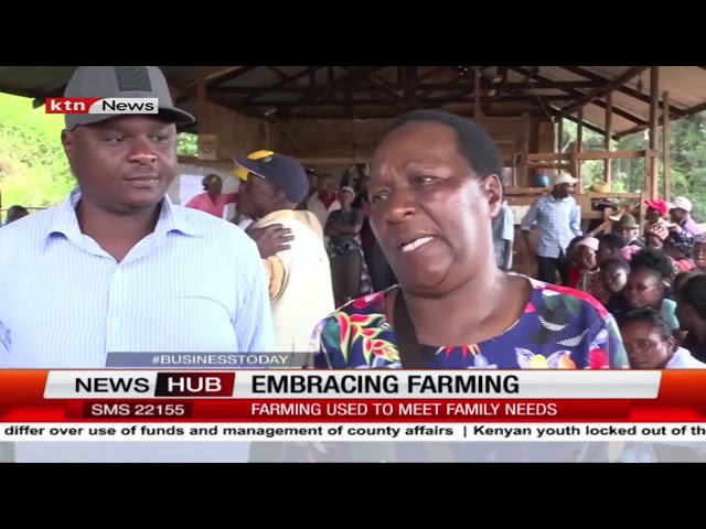 Murang'a Coffee Farmers Call for Subsidized Fertilizer to Enhance Yields