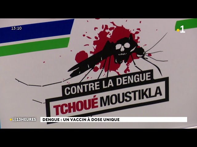 Dengue : un vaccin à dose unique